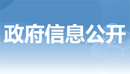 首批13家外资企业获增值电信业务经营试点批复